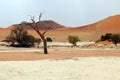 Big Daddy sand dune Sossusvlei - Namibia Africa Royalty Free Stock Photo