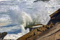 Big, dangerous waves during tropical storm Royalty Free Stock Photo