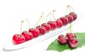 Big dark red ripe cherry berry row arranged on long white dish Royalty Free Stock Photo
