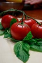 Big dark red tomatoes on a green vine on a light wooden table Royalty Free Stock Photo