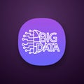 Big data app icon Royalty Free Stock Photo
