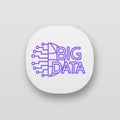 Big data app icon Royalty Free Stock Photo