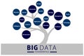Big data fundaments tree Royalty Free Stock Photo