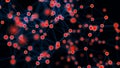 Big data. Digital background. Abstract red and blue distribution of triangular shapes in space. Network connection structure.3d Royalty Free Stock Photo