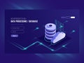 Big data flow processing concept, cloud database, isometric vector, web hosting and server room icons