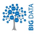 BIG Data fundamentals, tree, vector illustration