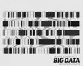 Big data grayscale visualization. Futuristic infographic. Information aesthetic design. Visual data complexity.