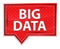 Big Data misty rose pink banner button