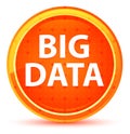 Big Data Natural Orange Round Button Royalty Free Stock Photo