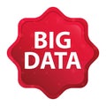 Big Data misty rose red starburst sticker button