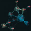 Big data visual representation. Cluster analysis visualization. Advanced analytics. Beauty of data graphic abstract background