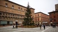 Big decorated pine Christmas tree in Piazza Nettuno. Bologna. Italy