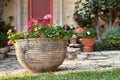 Big decorative clay flower pot in front of house with red flowers Royalty Free Stock Photo