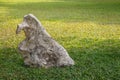 Big decorative rock