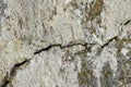 Big deep ascending crack on old moss-covered wall. Close-up. Copy space. Royalty Free Stock Photo