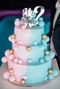 Big and delicious pink and blue baby gender reveal party cake