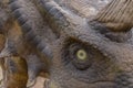 Big dinosaur head close up