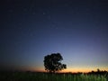 Night sky stars big dipper constellation observing