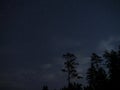 Night sky stars Big dipper constellation over forest