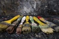 Big and dirty artist paint brushes