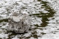 A big dirty snow ball that melts in the spring