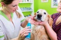 Big dog getting dental care by woman at dog parlor Royalty Free Stock Photo