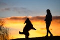 Big dog jumping to take a biscuit from a woman silhouette with background at colorful sunset Royalty Free Stock Photo