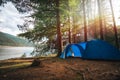 Big dome and camping tent with vestibule. Warm sun rays. Tourist camp among tall pines. Smoke from the fire. Tent. lake shore Royalty Free Stock Photo