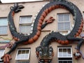 Big Dragon hanging on a Wall