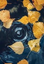 Big drop falling on puddle leaving a radial circles on surface with fallen yellow leaves on water Royalty Free Stock Photo