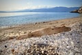 Big dry wood log on the beach and blue sky view background, shooting close up Royalty Free Stock Photo