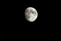 `The Big Dude` 900mm moonshot Royalty Free Stock Photo