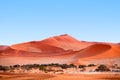 Big dunes under the blue clear sky in the Namib desert Naukluft Park near Deadvlei, Namibia, Southern Africa Royalty Free Stock Photo