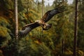 Big eagle flying in the forest. Wildlife bird hunter. Generative AI