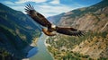 Big eagle is soaring over canyon and river, generative ai Royalty Free Stock Photo