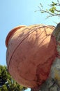 Big earthenware jar, provencal style