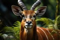 Big eastern bongo antelope. Generative AI