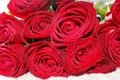 Big elegant red roses bouquet Royalty Free Stock Photo
