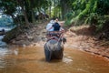 Big elephant crossing the river in the jungle.