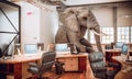 Big elephant sitting inside an office Royalty Free Stock Photo