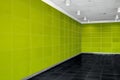 Big empty room interior with bright green wall, whire ceiling an Royalty Free Stock Photo