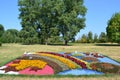 Big exhibition of flowers in nature Minsk