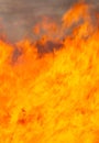 Big fire in the field Royalty Free Stock Photo