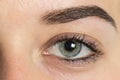 Big eye Eyebrow after correction Royalty Free Stock Photo