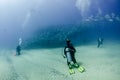 Big eye Trevally Jack, Forming a school, no people