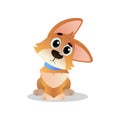 Big-eyed corgi sitting with amazed muzzle expression. Wondering cartoon dog character. Domestic animal. flat