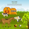 Big Family farm Vector. Cows, horse, chicken on green summer background Royalty Free Stock Photo