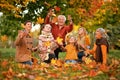 Big family having fun Royalty Free Stock Photo