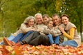 Big family having fun together in autumnal park Royalty Free Stock Photo