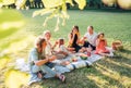 Big family sitting on the picnic blanket in city park during weekend Sunday sunny day. They are smiling, laughing and eating Royalty Free Stock Photo